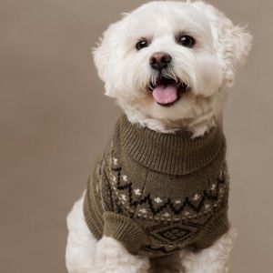 BANANA REPUBLIC Niall Fair Isle Dog Sweater in Camo